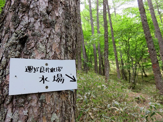 雨乞岳水場様子