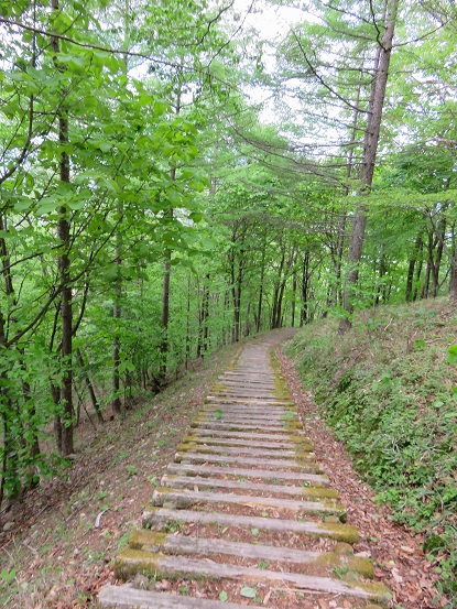 雨乞岳の登山道様子