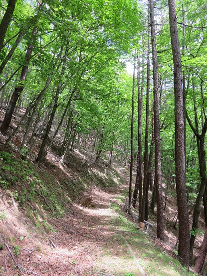 戸屋山の登山道