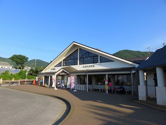 倉バス停から三ノ塔尾根を登り、丹沢表尾根を経由蛭ヶ岳を目指し