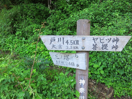 丹沢表尾根（三ノ塔尾根）への道標牛首