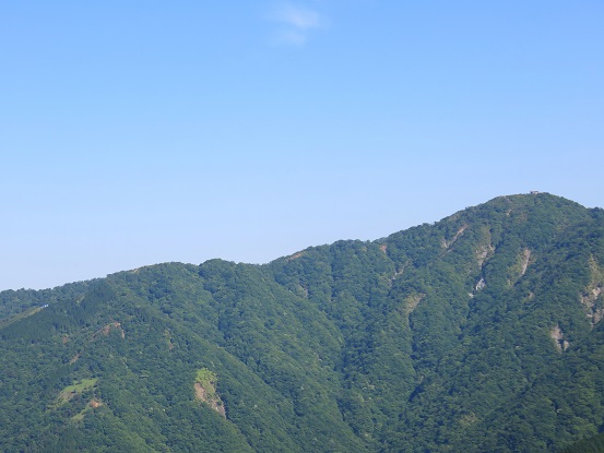 大倉尾根大倉バカ尾根