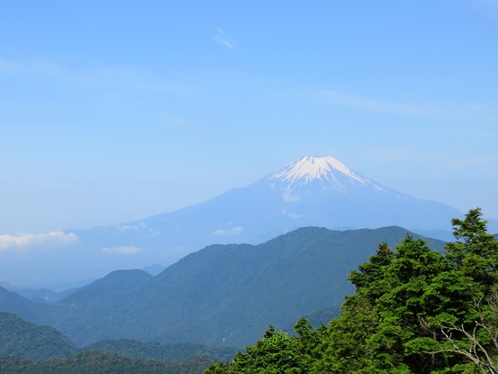 烏尾山からも綺麗に富士山
