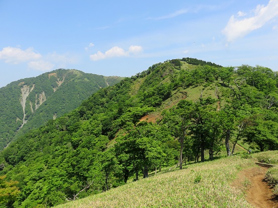 今日は丹沢周辺は暑い