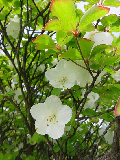 >蛭ヶ岳日帰り登山を選んで大正解