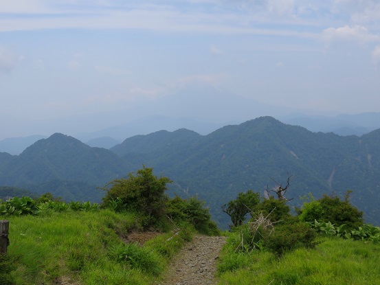 蛭ヶ岳からの桧洞丸の景色