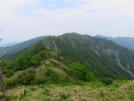蛭ヶ岳日帰りピストン