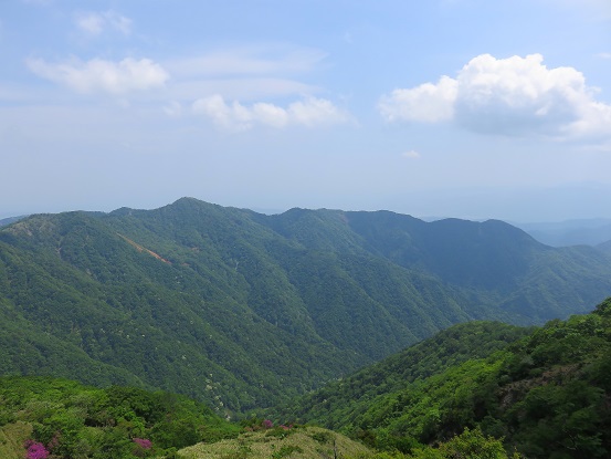 真ん中の尖がりが塔ノ岳