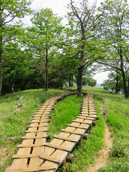 >蛭ヶ岳か丹沢山で宿泊