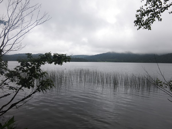 尾瀬沼景色