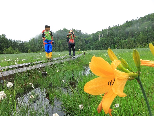 f:id:aohige0718:20170611205619j:plain