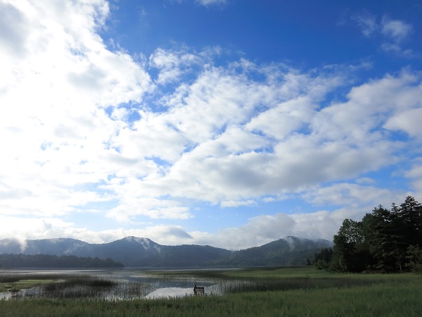 沼尻休憩所から尾瀬沼景色
