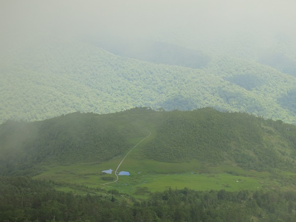 二つの池がある周辺が熊沢田代