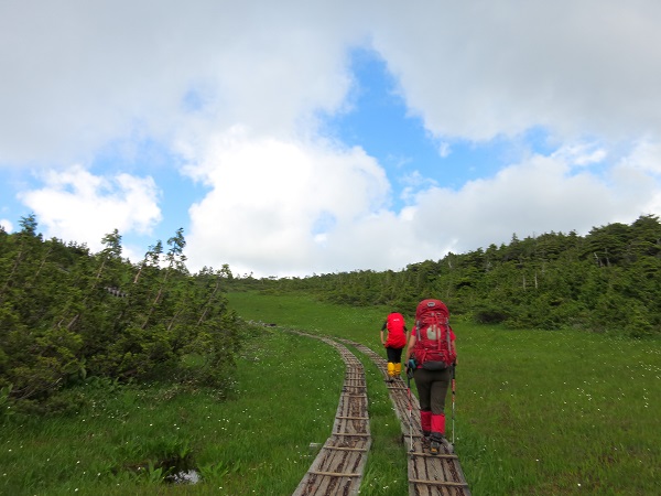 熊沢田代から御池まで地味に続く登り道