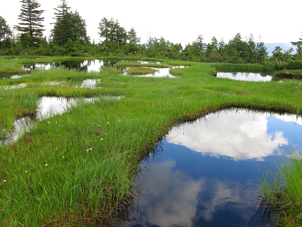 広沢田代青空が映る池塘