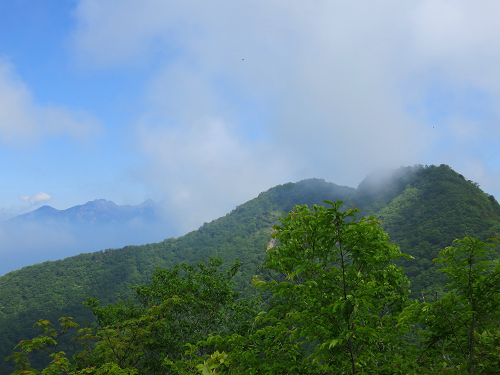 目指す金ヶ岳双耳峰