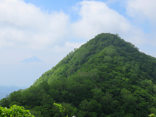 茅ヶ岳と左手に薄っすら富士山景色