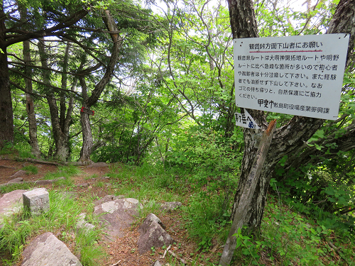 金ヶ岳南峰に到着