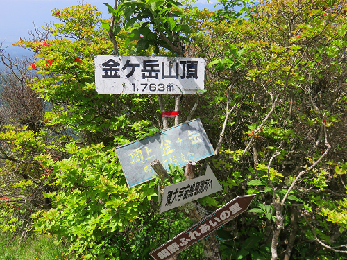 金ヶ岳山頂