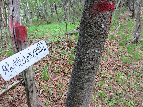 曲岳 黒富士 太刀岡山 羅漢寺山登山 鬼頬山 金桜神社 白砂山 後編 アオヒゲ危機一髪 樽の中身は何だろう