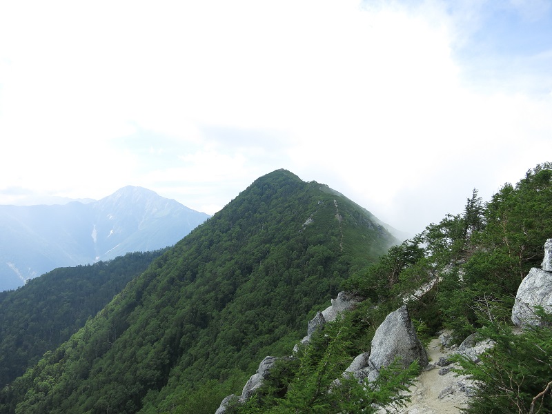 目指す高嶺を遠望