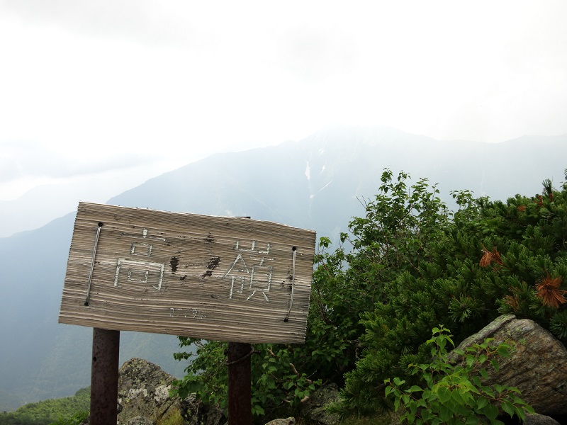 高嶺の山頂