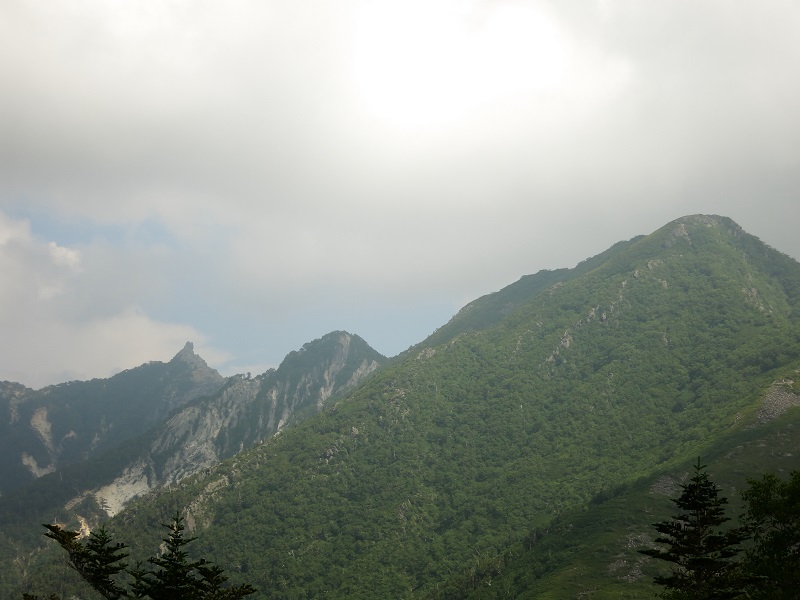 赤薙沢ノ頭付近からの高嶺・鳳凰三山の地蔵岳の景色