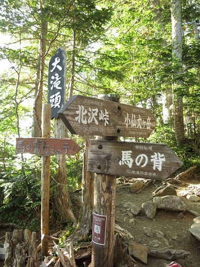 仙丈ヶ岳登山ルート分岐地点である大滝ノ頭(五合目）