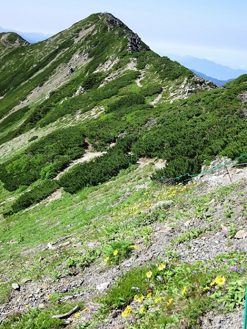 仙丈ヶ岳から大仙丈ヶ岳の稜線景色