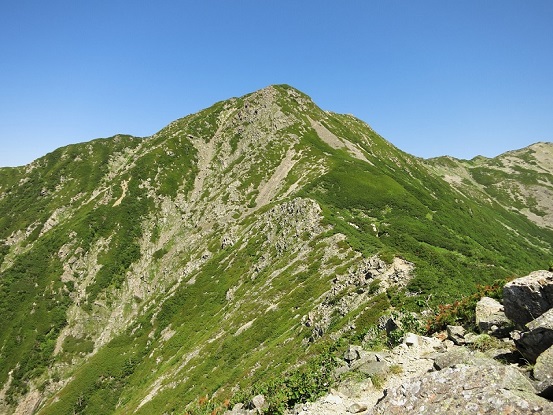 仙塩尾根の登山ルートから振り返っての大仙丈ヶ岳の景色