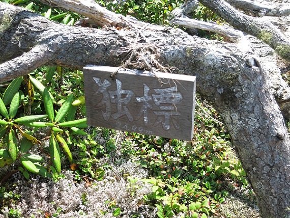 仙塩尾根の独標