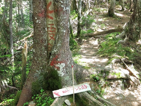 野呂川越