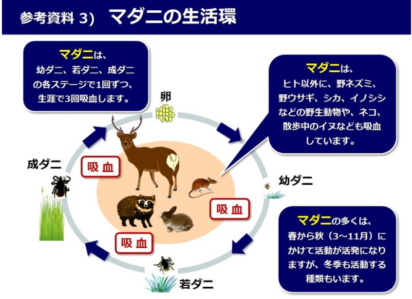 f:id:aohige0718:20170712171837j:plain SFTS(ダニ媒介感染症)の感染地域