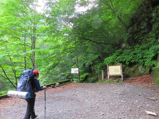 三条の湯付近青岩谷橋付近