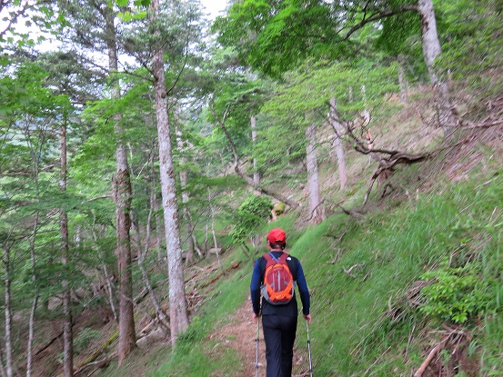 飛龍山緩やかな尾根歩き