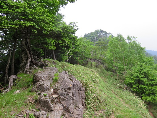 北天のタル奥秩父主脈縦走歩き