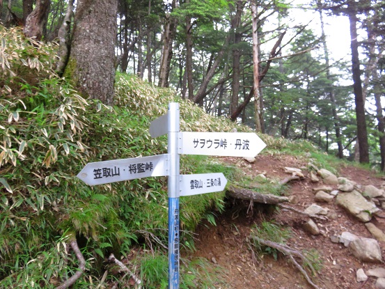 飛竜山・サオウラ峠