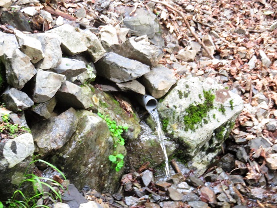 カンバ谷の水場