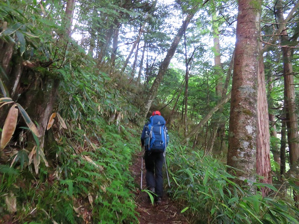 伊奈川ダム登山口からの越百山登山ルート詳細