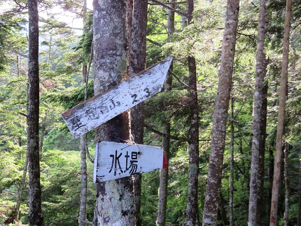 越百山登山ルートの上の水場