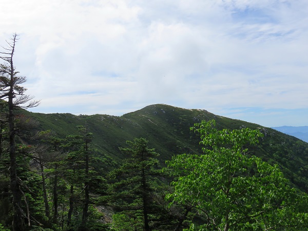 南越百山