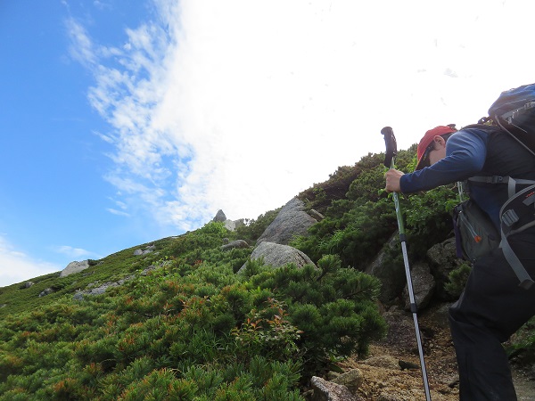 越百山へ登山中の登山者