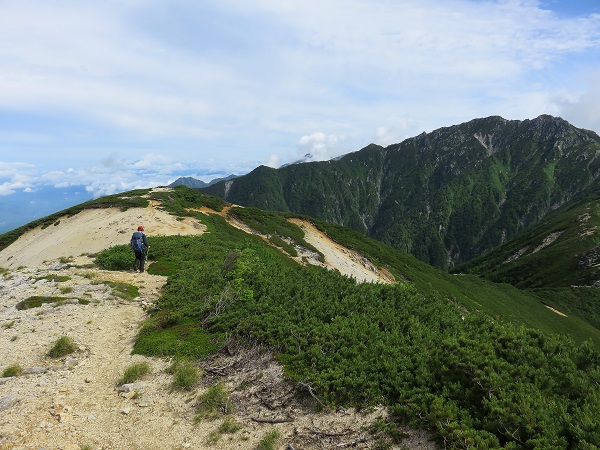 越百山～仙涯嶺～南駒ヶ岳縦走路の景色