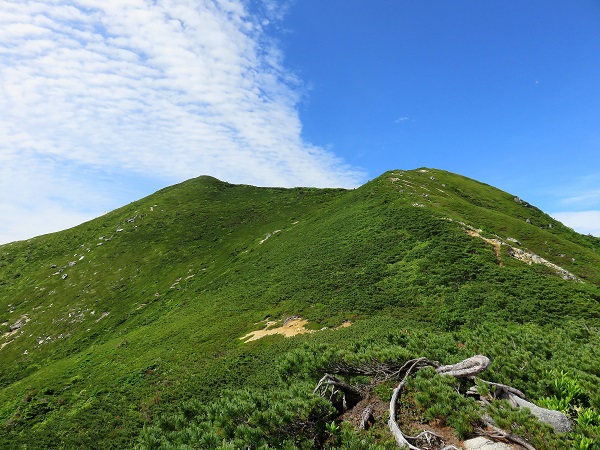 の越百山(右）と南越百山(左)遠望