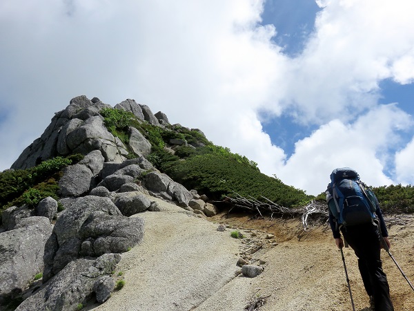 仙涯嶺の山頂付近の登山道の様子