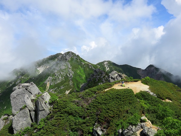 仙涯嶺の山頂偽ピーク