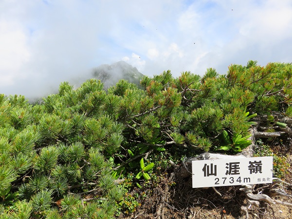 仙涯嶺の山頂