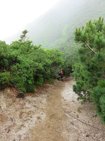 空木岳方面の登山道の様子と荒地