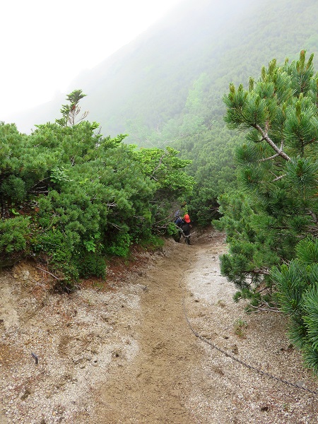 空木岳方面の登山道の様子と荒地