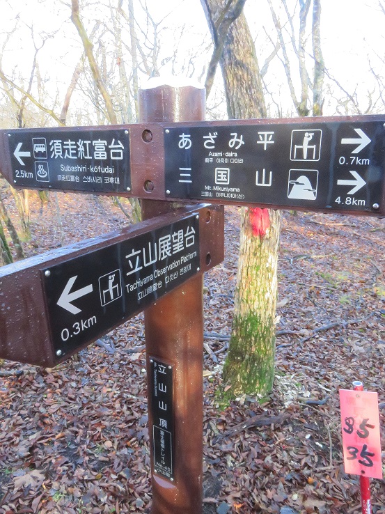 立山展望台の近くに立山